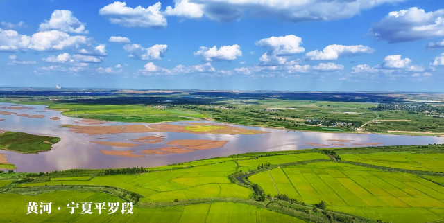 寧夏平羅：九曲黃河潤沃野 兩岸風光似畫廊