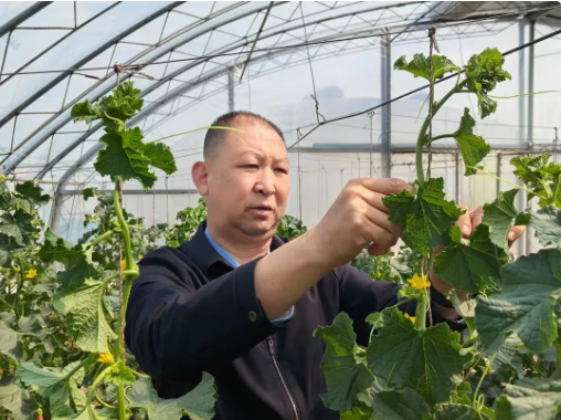 “全國勞模”蔣洪波：助農(nóng)富民織錦繡 初心畫筆繪豐年