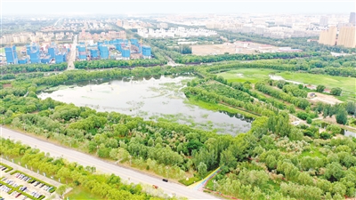 吳忠市聚焦綠色發展先行市建設目標，深入推進生態環境保護工作，生態環境質量得到明顯改善。          本報實習生 彭斌 攝