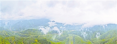     清晨，薄霧籠罩六盤山。