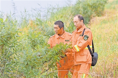    青銅峽庫(kù)區(qū)濕地自然保護(hù)區(qū)工作人員開(kāi)展日常巡護(hù)工作。