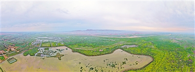     青銅峽庫(kù)區(qū)濕地自然保護(hù)區(qū)是我區(qū)最大的黃河灘涂類型濕地自然保護(hù)區(qū)。